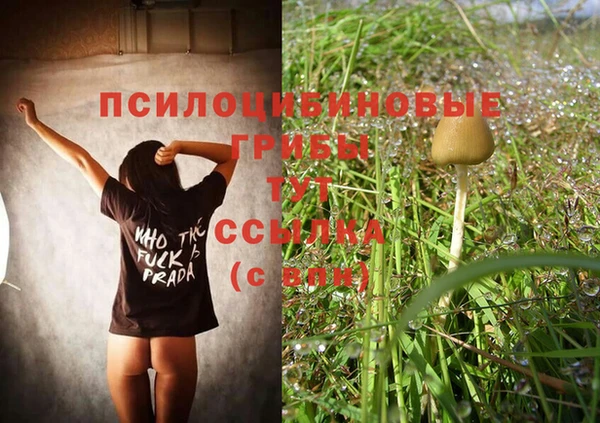 ALPHA PVP Белоозёрский