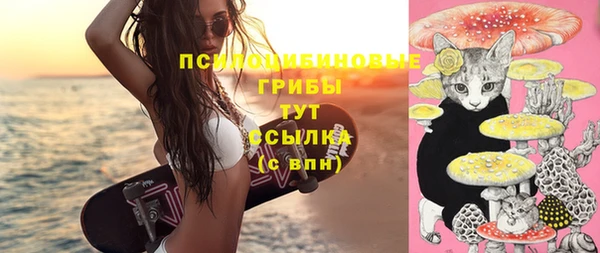 прущий лед Белокуриха